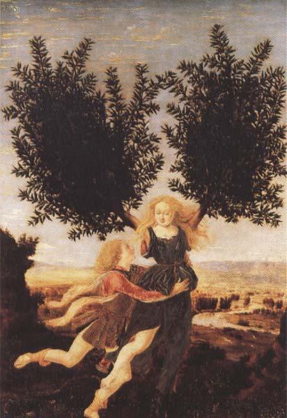 Antonio del Pollaiuolo Apollo and Daphne (mk45) oil painting picture